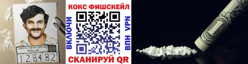 Cocaine Fish Scale  кракен ссылки  Болгар 