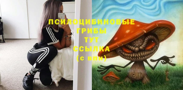 mix Белокуриха