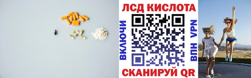 дарнет шоп  сайты даркнета состав  Лсд 25 экстази ecstasy  Болгар 