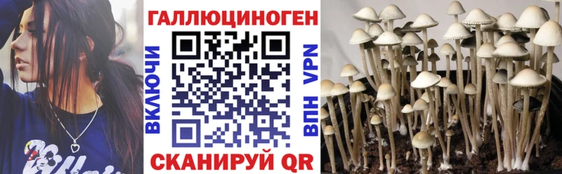 Псилоцибиновые грибы мухоморы  Болгар 
