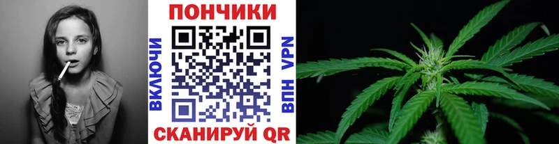 Бошки Шишки MAZAR  Болгар 